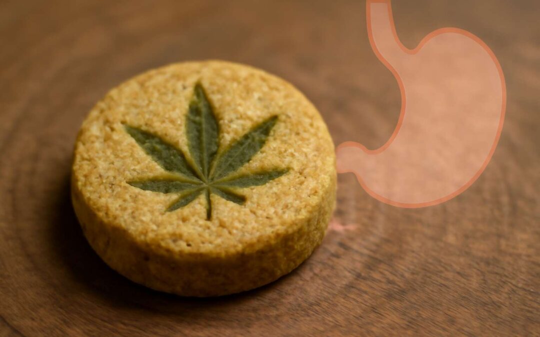 What you need to know: will edibles trigger chs and how to avoid it.